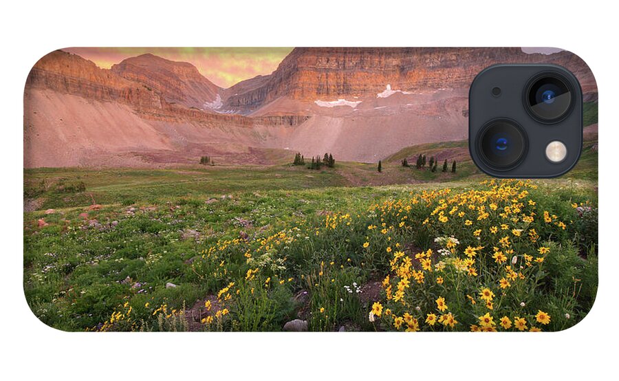 Utah iPhone 13 Case featuring the photograph Mount Timpanogos Wildflower Sunset - Utah by Brett Pelletier