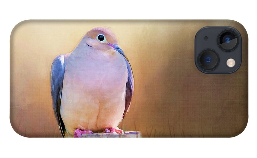 Dove iPhone 13 Case featuring the photograph Mourning Dove Painted Portrait by Cathy Kovarik