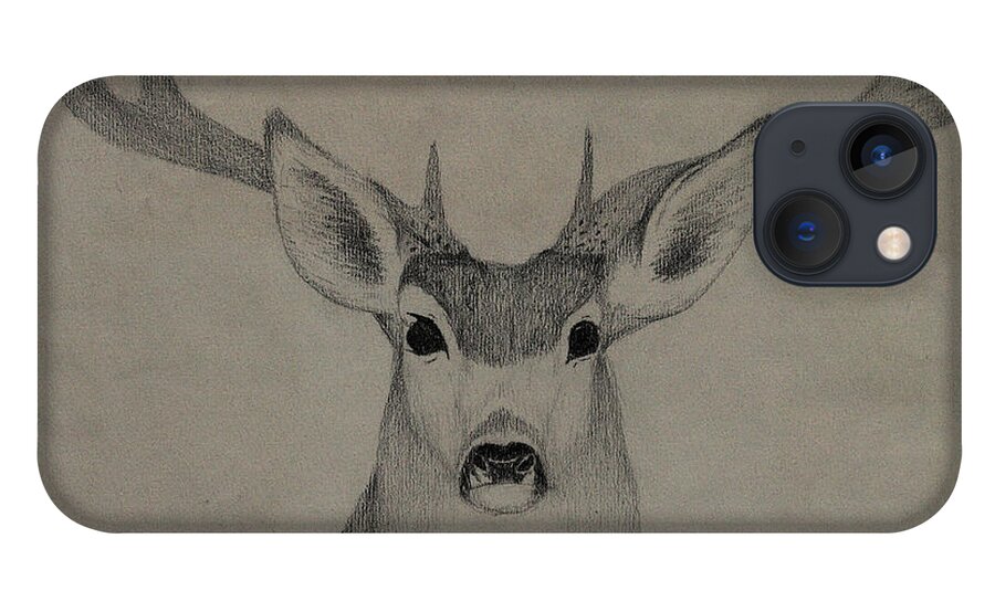 Mule iPhone 13 Case featuring the drawing Mule Deer 1 by Gregory Lee