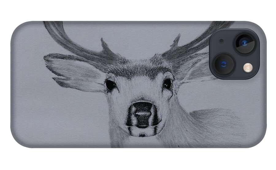 Mule iPhone 13 Case featuring the drawing Mule Deer III by Gregory Lee