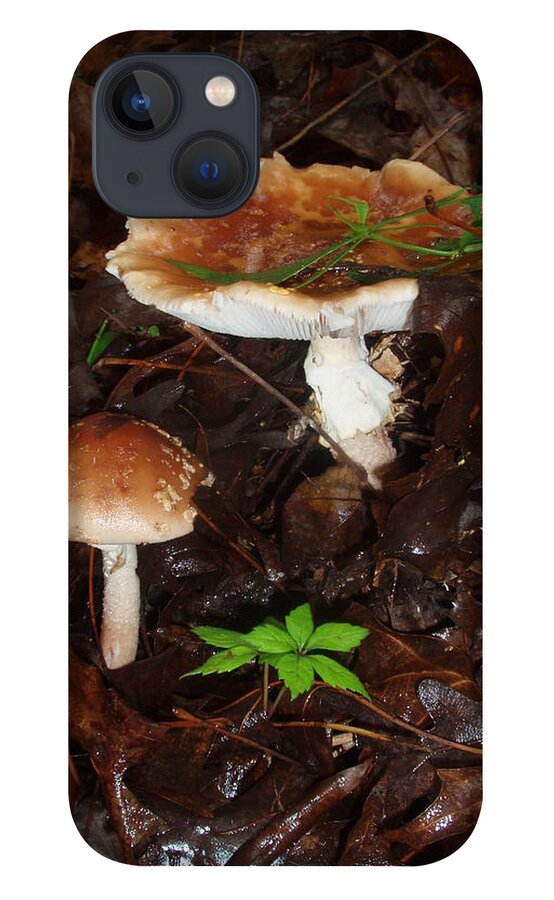 Mushrooms iPhone 13 Case featuring the photograph Mushrooms Rising by Allen Nice-Webb
