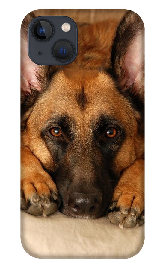 German Shepherd Dogs iPhone 13 Case featuring the photograph My Loyal Friend by Angie Tirado