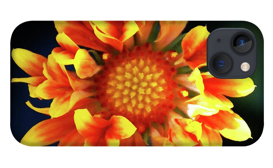 Flower iPhone 13 Case featuring the photograph My Sunrise and You by Linda Shafer