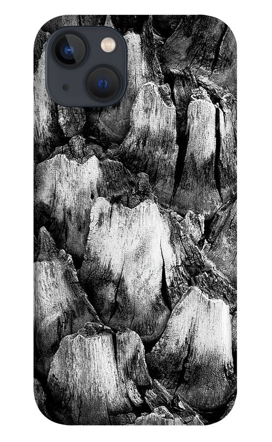 Black And White iPhone 13 Case featuring the photograph Natures Abstract #1 by John Roach