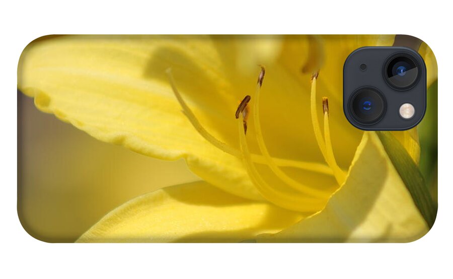 Yellow iPhone 13 Case featuring the photograph Nature's Beauty 49 by Deena Withycombe