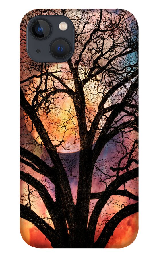 Abstracts iPhone 13 Case featuring the photograph Nature's Stained Glass by Debra and Dave Vanderlaan