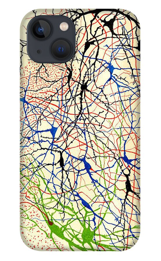 History iPhone 13 Case featuring the photograph Nerve Cells Santiago Ramon y Cajal by Science Source