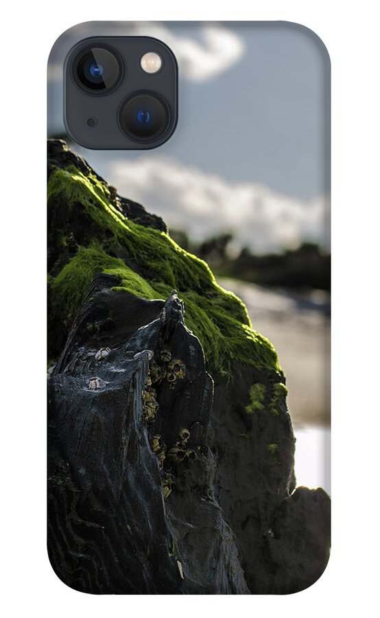 Art iPhone 13 Case featuring the photograph New environment by Bradley Dever