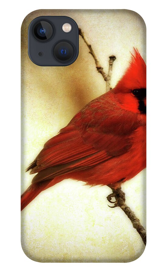 backyard Birds iPhone 13 Case featuring the photograph Northern Cardinal by Lana Trussell