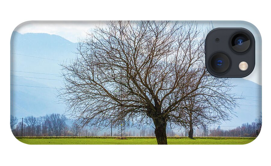 Dubino iPhone 13 Case featuring the photograph Old Tree by Pavel Melnikov
