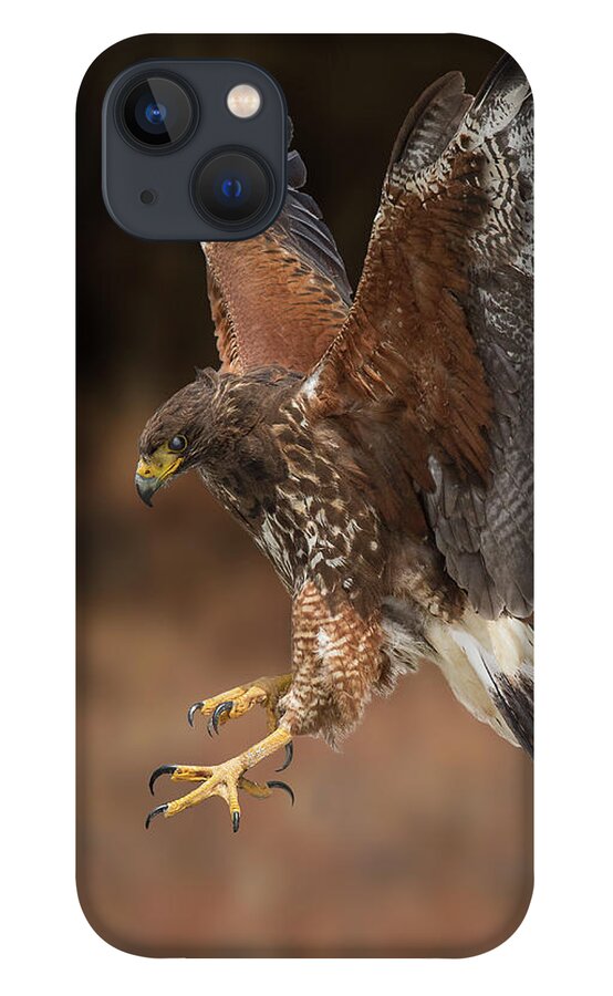 Bird iPhone 13 Case featuring the photograph On Target by Bruce Bonnett
