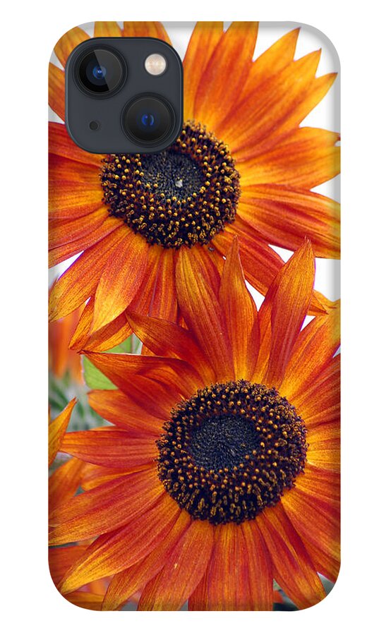 Sunflower iPhone 13 Case featuring the photograph Orange Sunflower 2 by Amy Fose