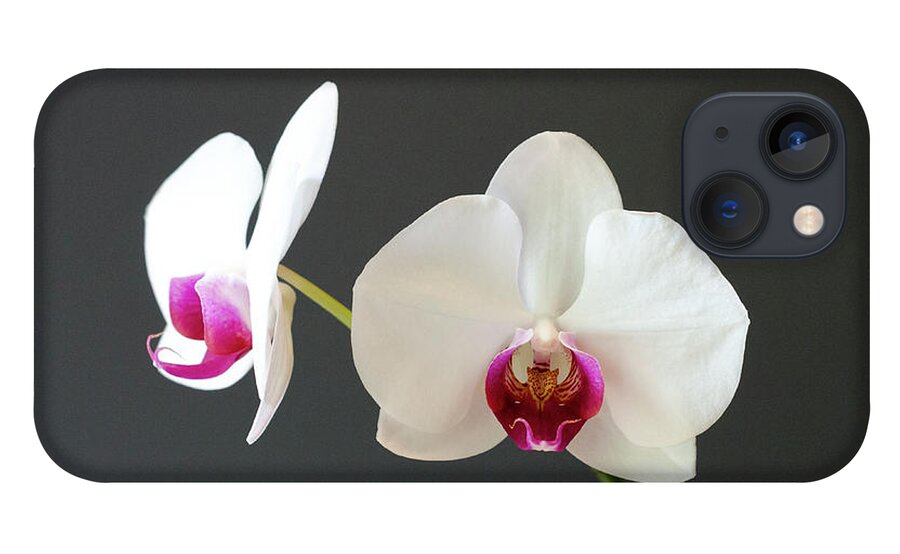 Orchid iPhone 13 Case featuring the photograph Orchid Blooms by Laurel Best