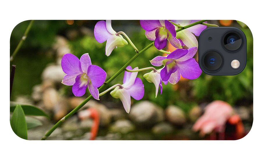 Orchid iPhone 13 Case featuring the photograph Orchids in Paradise by Nicole Lloyd