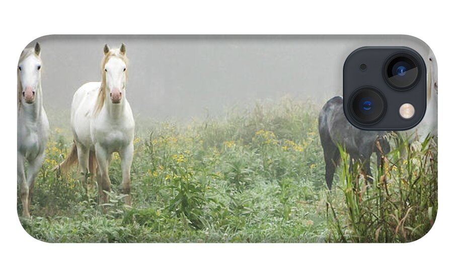 Wild Horses iPhone 13 Case featuring the photograph Out of the Mist, 2 by Holly Ross