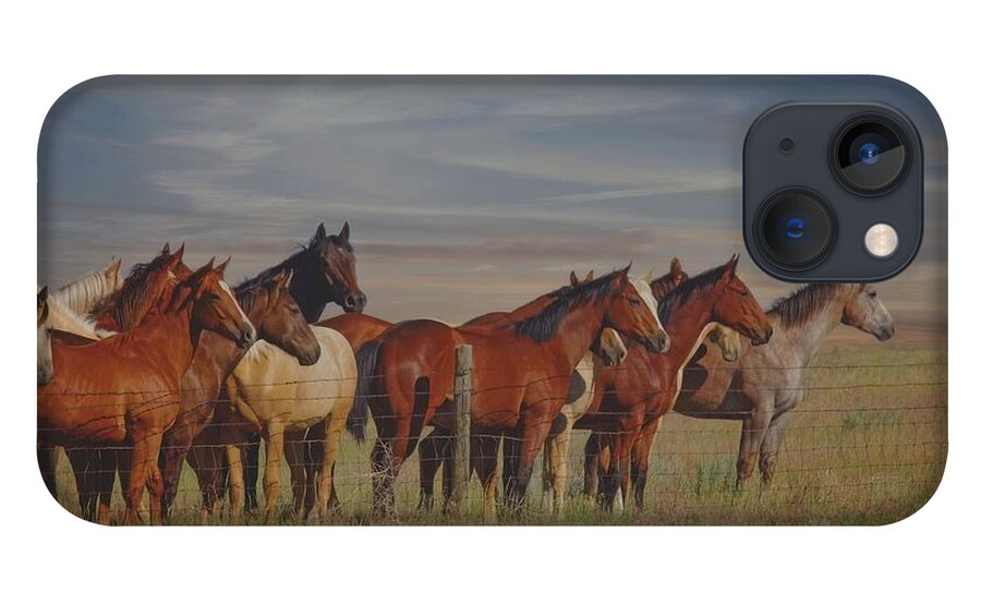 Horses iPhone 13 Case featuring the photograph Over The Fenceline by Amanda Smith