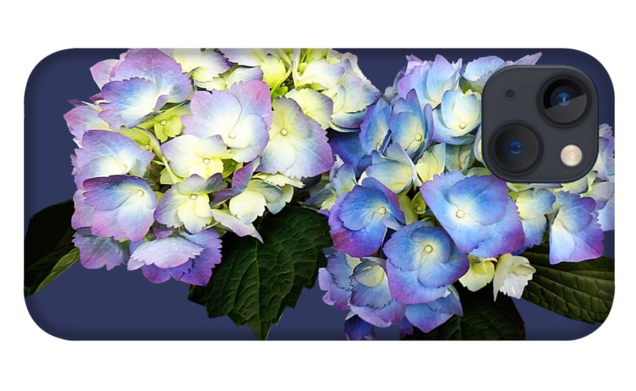 Hydrangea iPhone 13 Case featuring the photograph Pale Pink and Blue Hydrangea by Susan Savad