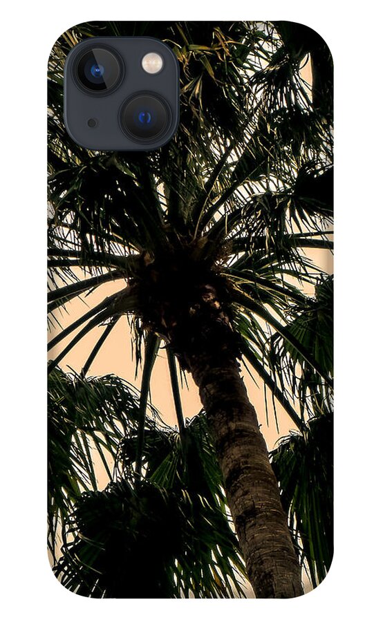 Florida iPhone 13 Case featuring the photograph Palm Against the Sky by Frank Mari