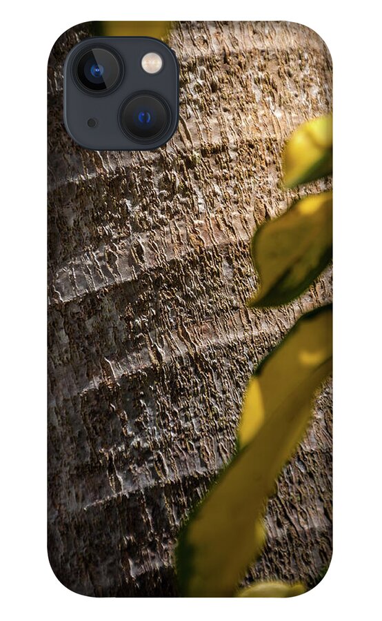 Coconut Grove iPhone 13 Case featuring the photograph Palm Trunk - Miami by Frank Mari