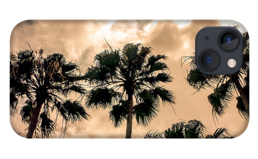 Florida iPhone 13 Case featuring the photograph Palms Against the Sky by Frank Mari