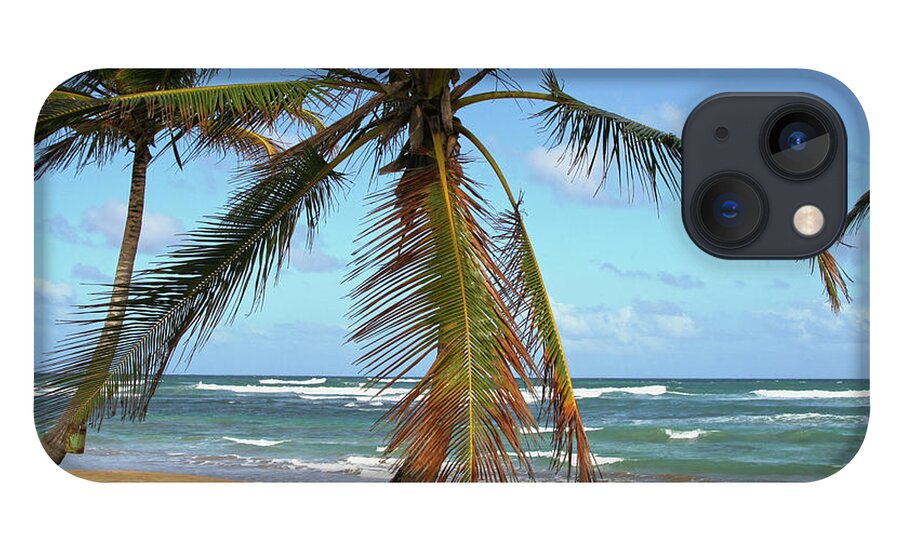 Palms iPhone 13 Case featuring the photograph Palms and Sand by Robert Och