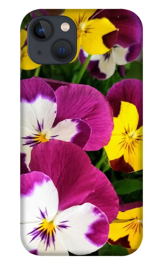 Flowers iPhone 13 Case featuring the photograph Pansies by Valerie Josi