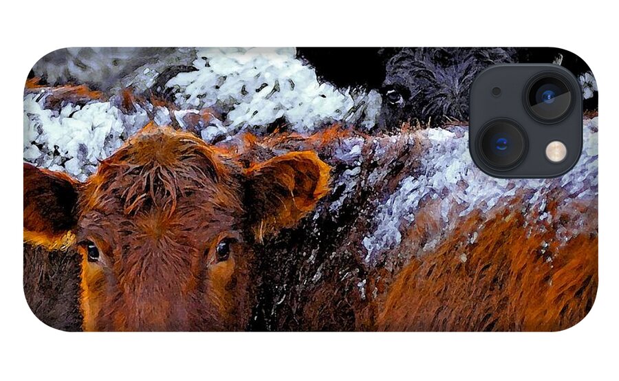 Heifers iPhone 13 Case featuring the photograph Peek a Boo Heifers by Amanda Smith
