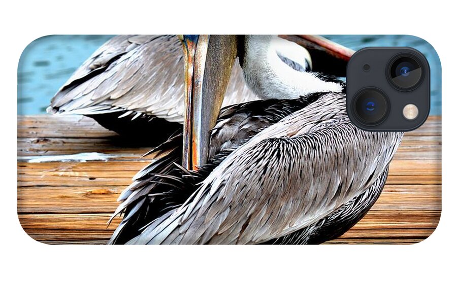 Pelican iPhone 13 Case featuring the digital art Pelican Ally by Alison Belsan Horton