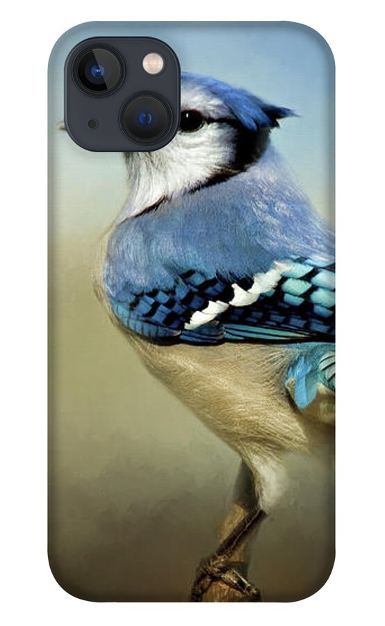 Animal iPhone 13 Case featuring the photograph Perched Blue Jay by Lana Trussell