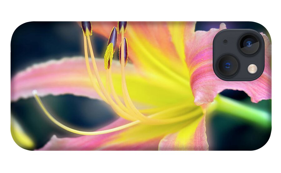 Beautiful iPhone 13 Case featuring the photograph Perfection of a bloom. by Usha Peddamatham