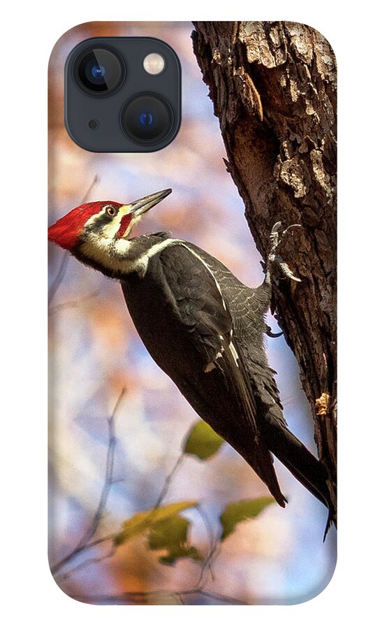 Pileated Woodpecker iPhone 13 Case featuring the photograph Pileated Woodpecker by Phil Spitze