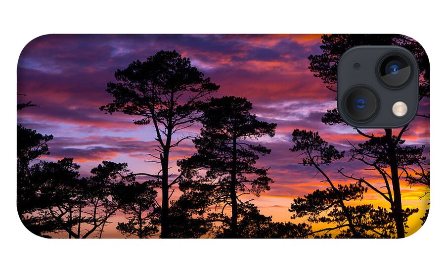 Trees iPhone 13 Case featuring the photograph Pine Forest Sunset by Derek Dean