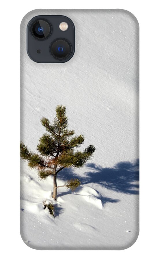 Pine iPhone 13 Case featuring the photograph Pine Shadow by Shane Bechler
