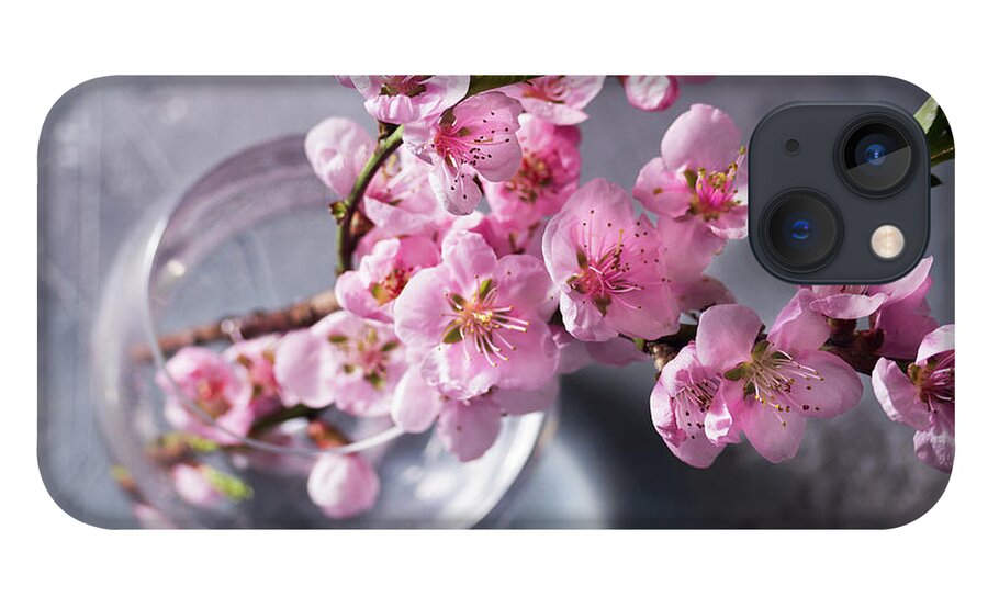 Cherry iPhone 13 Case featuring the photograph Pink Cherry Blossom by Anastasy Yarmolovich