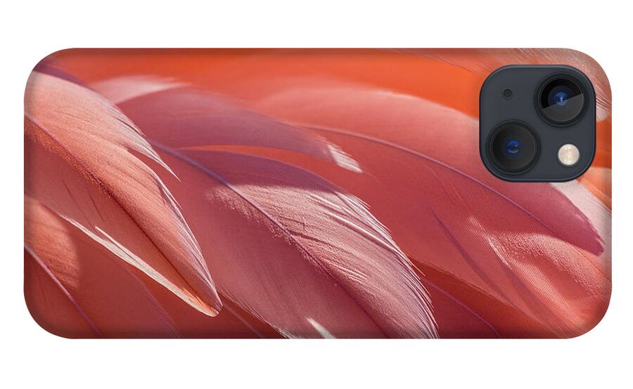 Abstract iPhone 13 Case featuring the photograph Pink Flamingo by Holly Ross