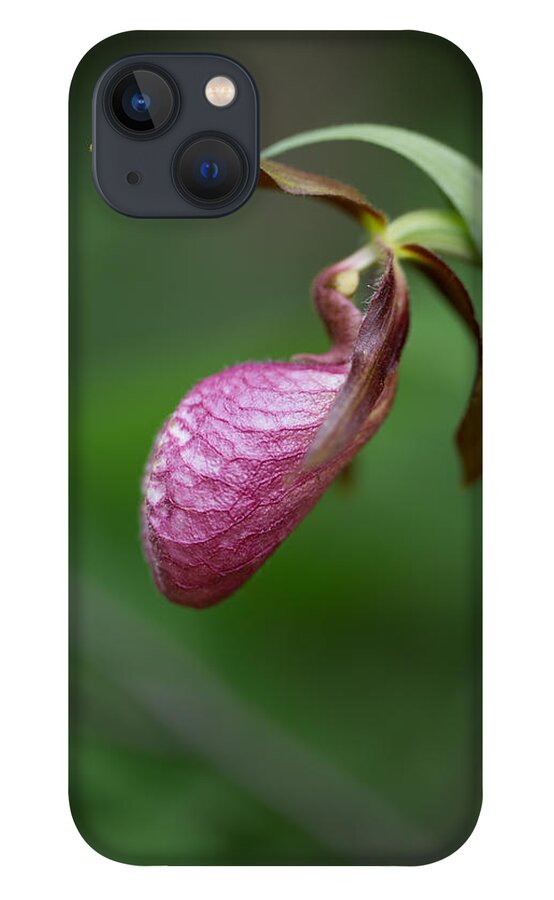 Canada iPhone 13 Case featuring the photograph Pink Ladys Slipper Cypripedium acaule by Jakub Sisak