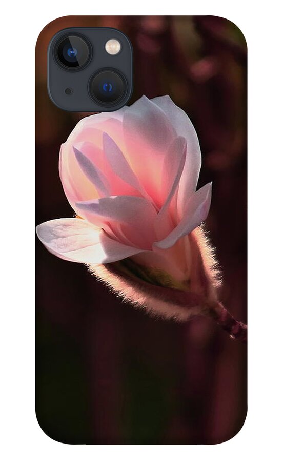 Magnolia iPhone 13 Case featuring the photograph Pink Magnolia by Jeff Townsend