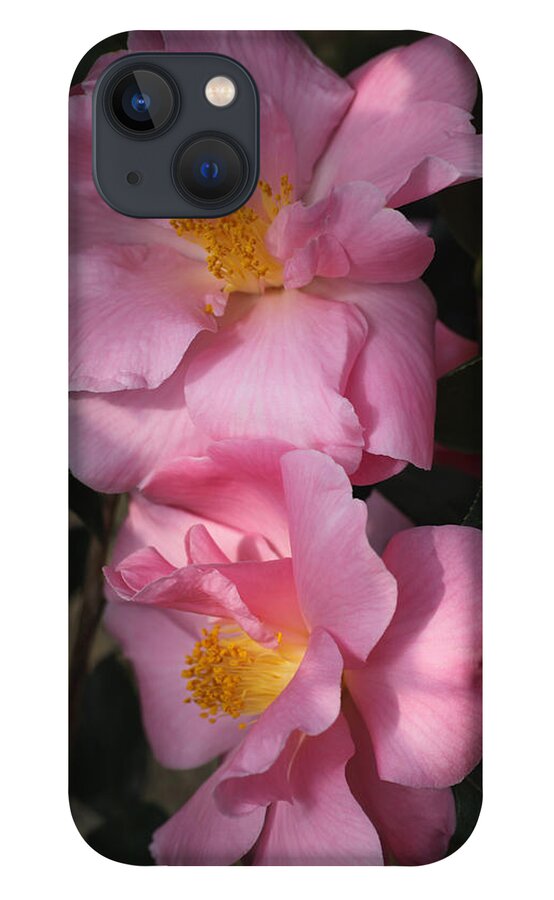 Flowers iPhone 13 Case featuring the photograph Pink Parfait by Tammy Pool