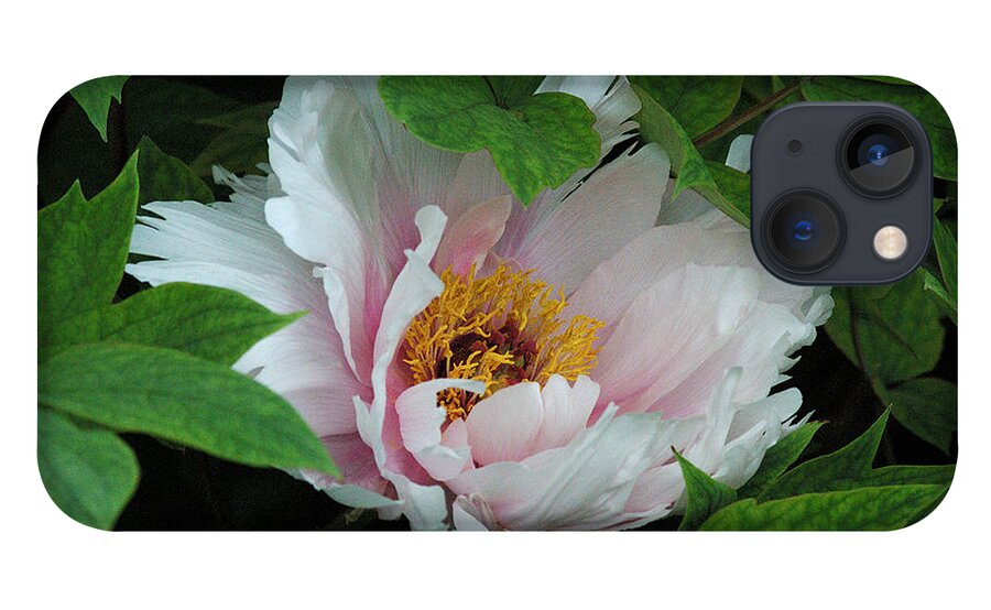 Flower iPhone 13 Case featuring the photograph Pink Peony by Kathleen Gauthier