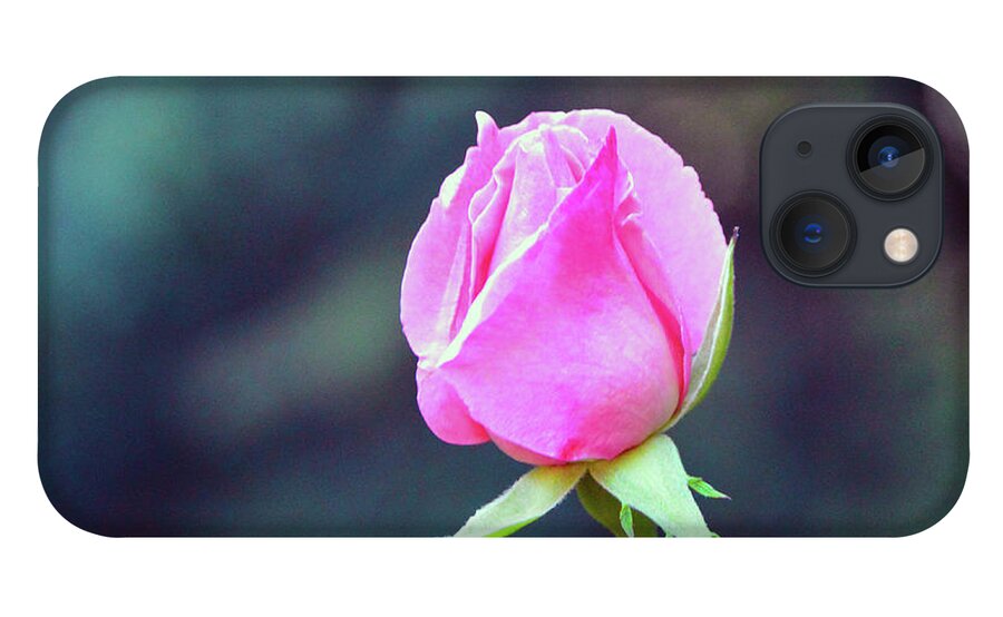 Pink iPhone 13 Case featuring the photograph Pink Rose by Brian O'Kelly