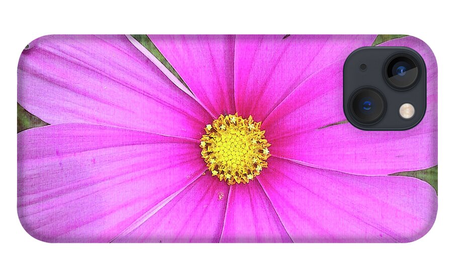 Pink iPhone 13 Case featuring the photograph Pink by Terri Harper