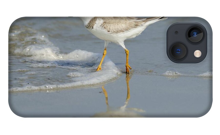 Piping Plover iPhone 13 Case featuring the photograph Piping Plover in Surf by Bradford Martin