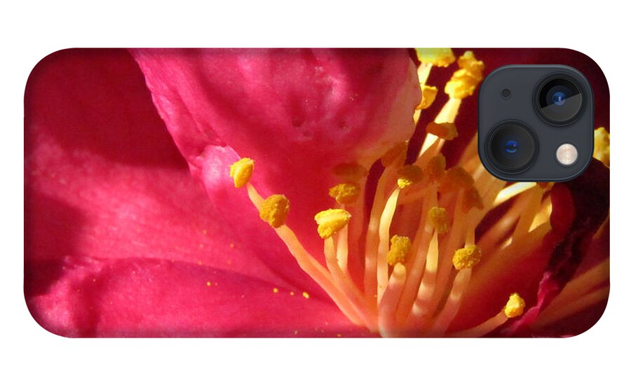 Flower iPhone 13 Case featuring the photograph Pollen Pregnant 2 by Robert Knight