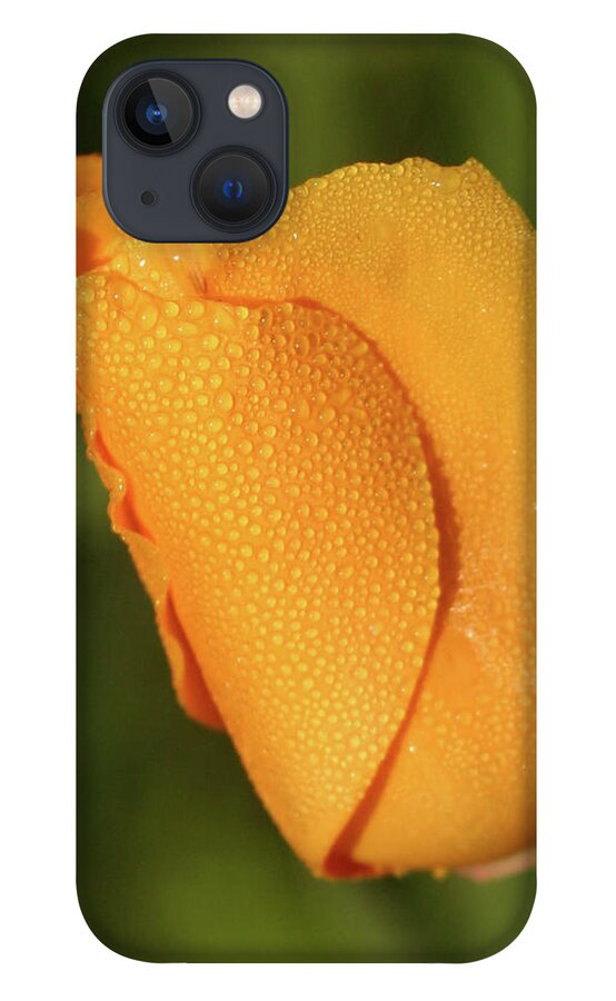 Poppy iPhone 13 Case featuring the photograph Poppy Morning Dew by Jeff Floyd CA