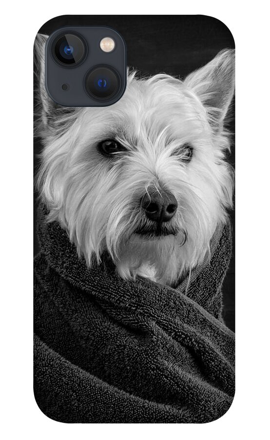 Portrait Of A Westie Dog iPhone 13 Case featuring the photograph Portrait of a Westie Dog by Edward Fielding