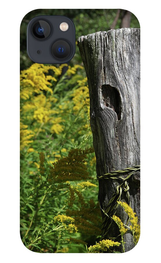 Wood iPhone 13 Case featuring the photograph Post by Robert Och