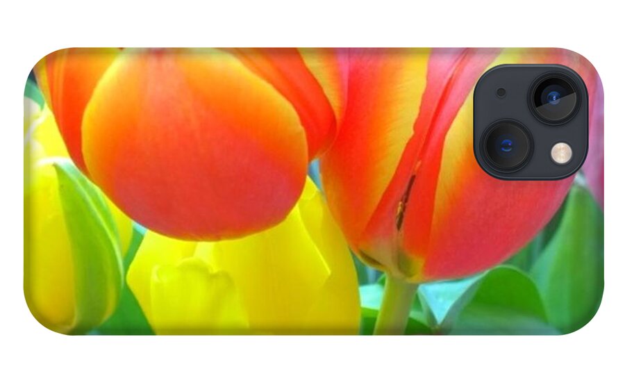 Garden iPhone 13 Case featuring the photograph Pretty #spring #tulips Make Me Smile by Shari Warren