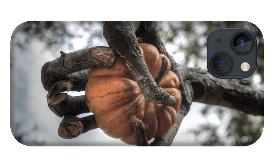 Pumpkin iPhone 13 Case featuring the photograph Pumpkin hand wizard of oz texas state fair dallas by Jane Linders