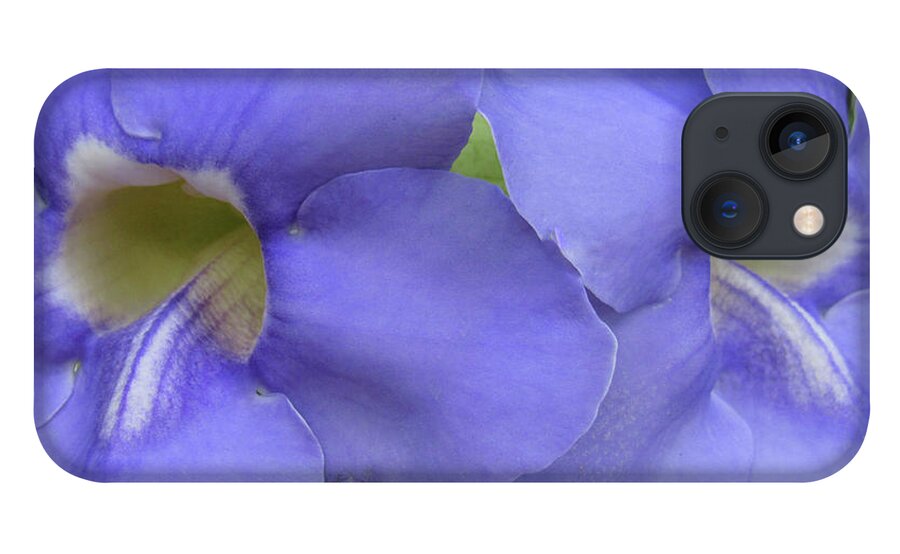 Flower Poster iPhone 13 Case featuring the photograph Purple Flower Picture Perfect by Roberta Byram