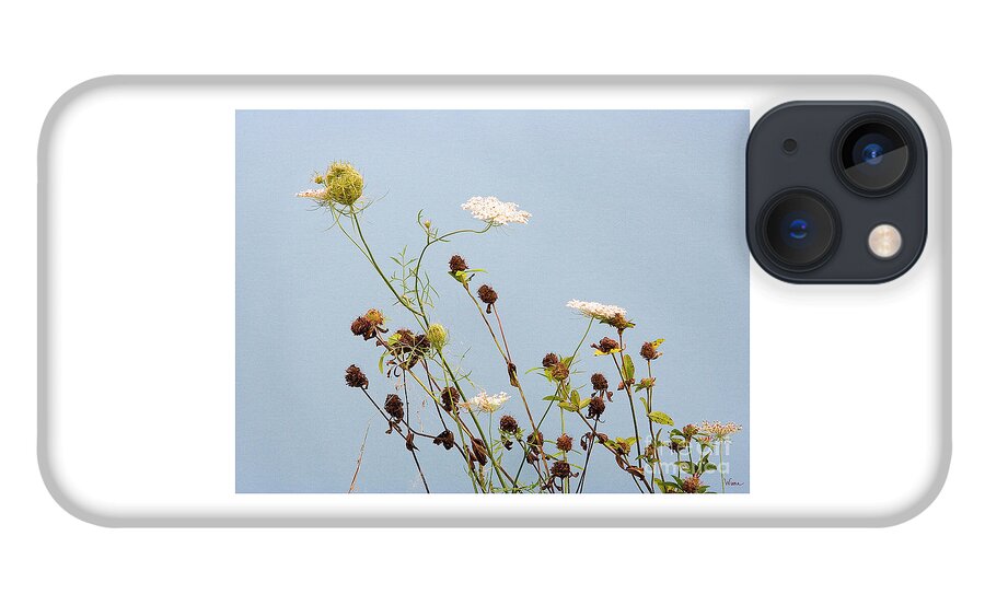 Lise Winne iPhone 13 Case featuring the photograph Queen Anne's Lace and Dried Clovers by Lise Winne